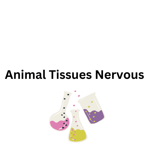 Animal Tissues  Nervous